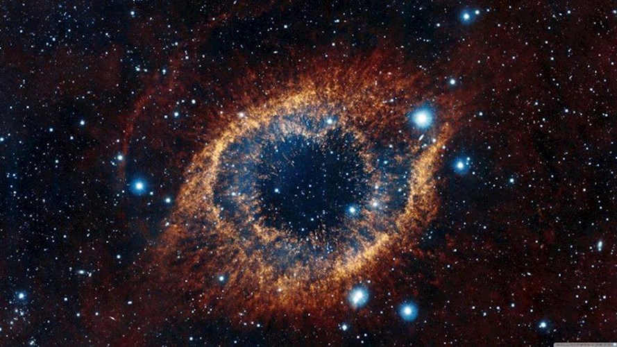 Обложка книги Живая машина Древних
