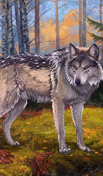 Обложка книги Пёс, Волк и Заяц