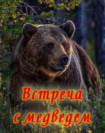 Обложка книги Встреча с медведем