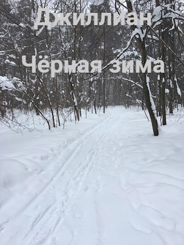 Обложка книги Чёрная зима