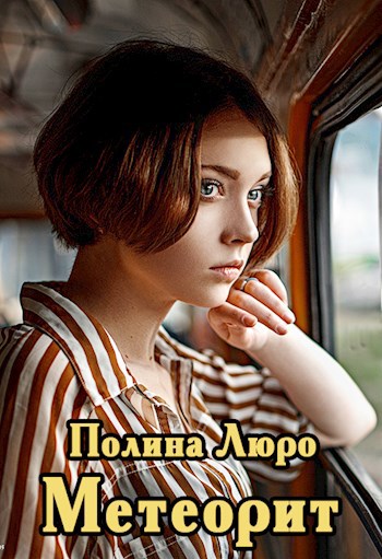 Обложка книги Метеорит