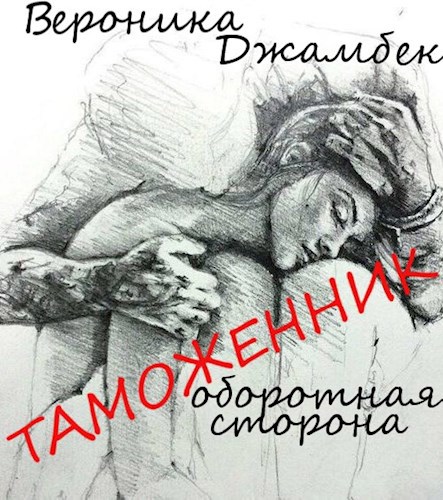 Обложка книги "Таможенник. Оборотная сторона."