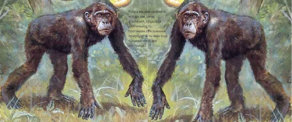 Обложка книги История человеческой природы