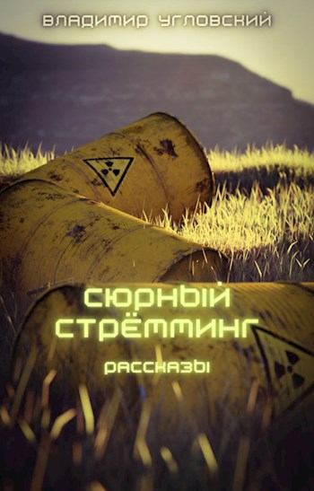 Обложка книги Сюрный стрёмминг