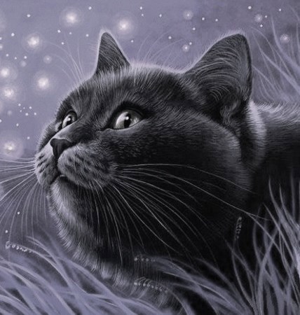 Обложка книги О коте Василии (маленькая трилогия)