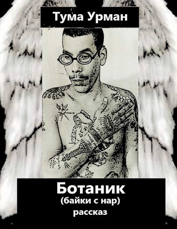 Обложка книги Ботаник (байки с нар)