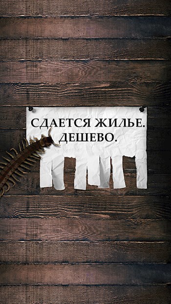 Обложка книги Сдается жилье. Дешево.