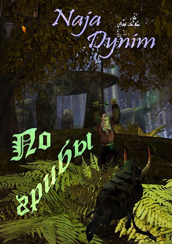 Обложка книги По грибы