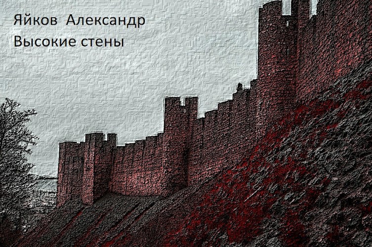 Обложка книги Высокие стены