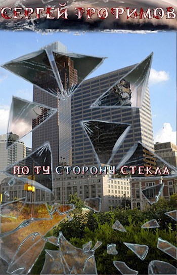 Обложка книги По ту сторону стекла