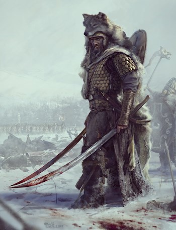Обложка книги АРКОНА — СЛАВЯНСКАЯ ТОРТУГА ПИРАТОВ-ЯЗЫЧНИКОВ.