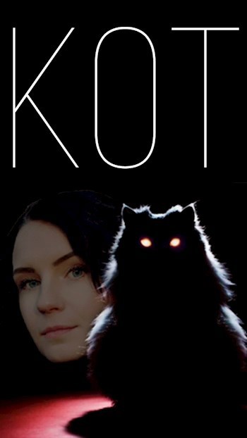 Обложка книги Кот