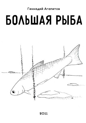 Обложка книги Большая рыба
