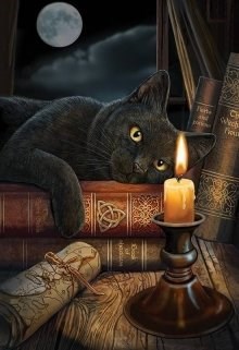 Обложка книги Вышивка к черному платью