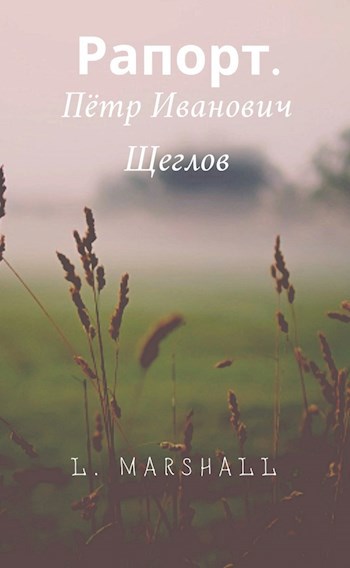 Обложка книги Рапорт.