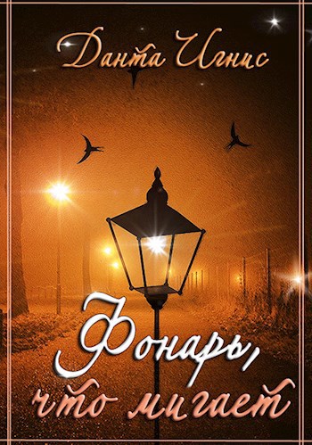 Обложка книги Фонарь, что мигает