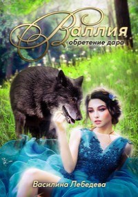 Обложка книги Валлия. Обретение дара