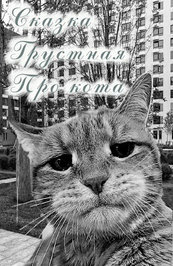 Обложка книги Сказка. Грустная. Про кота.