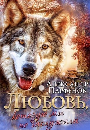 Обложка книги Любовь, которую мы не заслужили