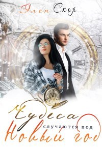 Обложка книги Чудеса случаются под новый год