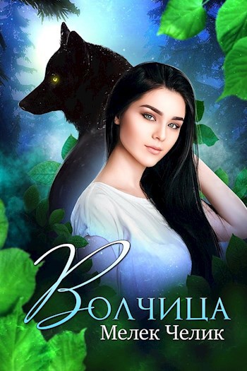 Обложка книги Волчица