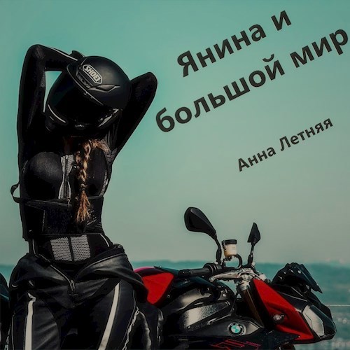 Обложка книги Янина и большой мир