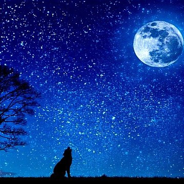 Обложка книги Стихи