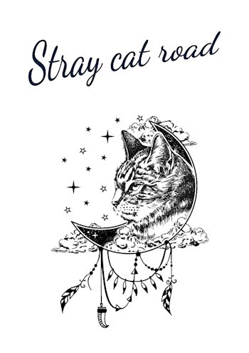 Обложка книги Stray cat road / Дорога бродячей кошки