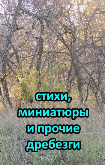 Обложка книги Стихи, миниатюры и прочие дребезги