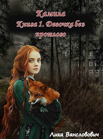 Обложка книги Камила. Книга 1. Девочка без прошлого