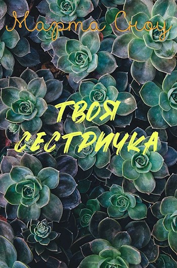 Обложка книги Твоя сестричка
