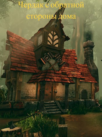 Обложка книги Чердак с обратной стороны дома