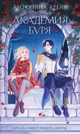 Обложка книги Академия Буря