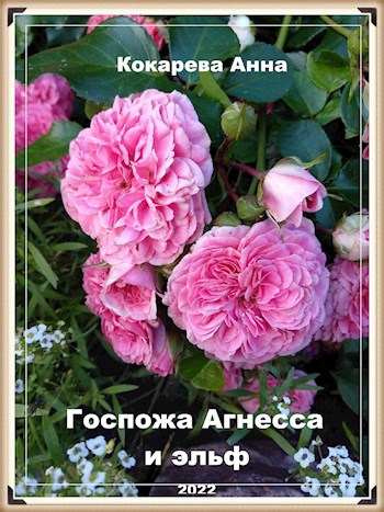 Обложка книги Госпожа Агнесса и эльф