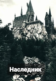 Обложка книги Наследник