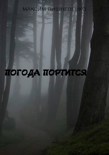 Обложка книги Погода портится