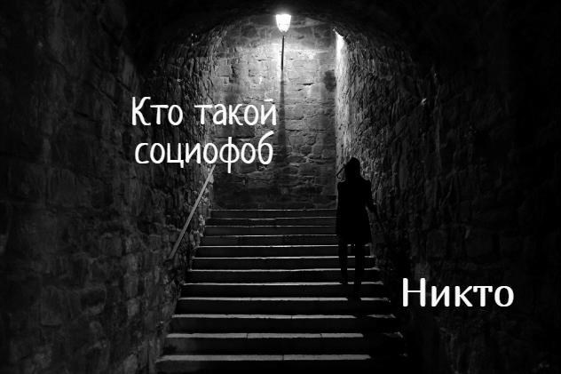 Обложка книги Кто такой социофоб