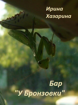 Обложка книги Бар "У Бронзовки"
