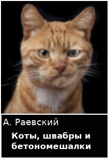Обложка книги Коты, швабры и бетономешалки
