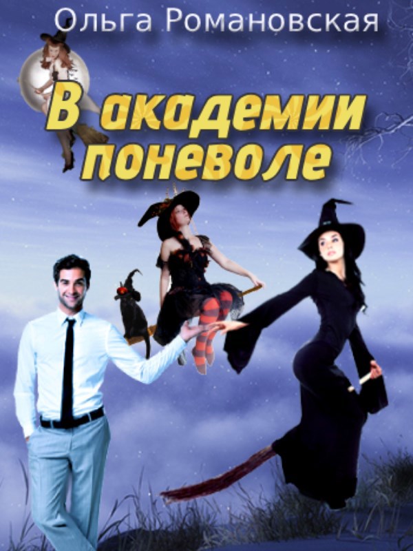 Обложка книги В академии поневоле