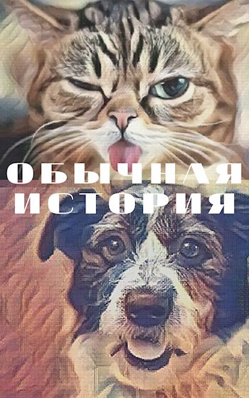 Обложка книги Обычная история