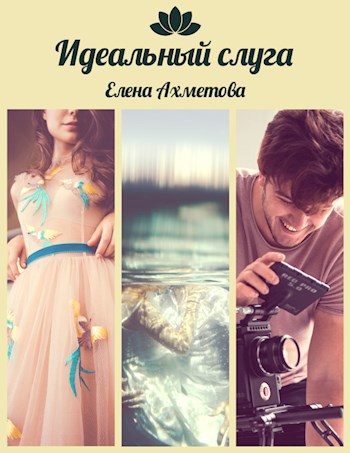 Обложка книги Идеальный слуга