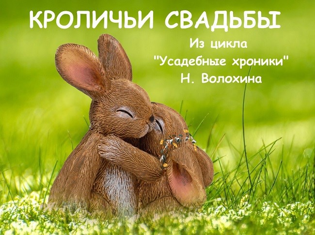 Обложка книги Кроличьи свадьбы