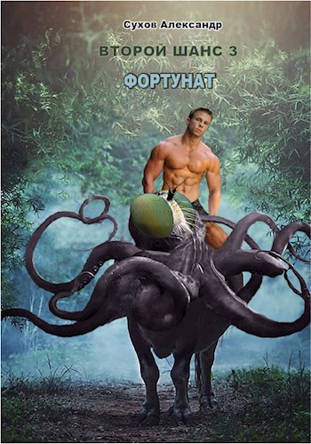Обложка книги Фортунат
