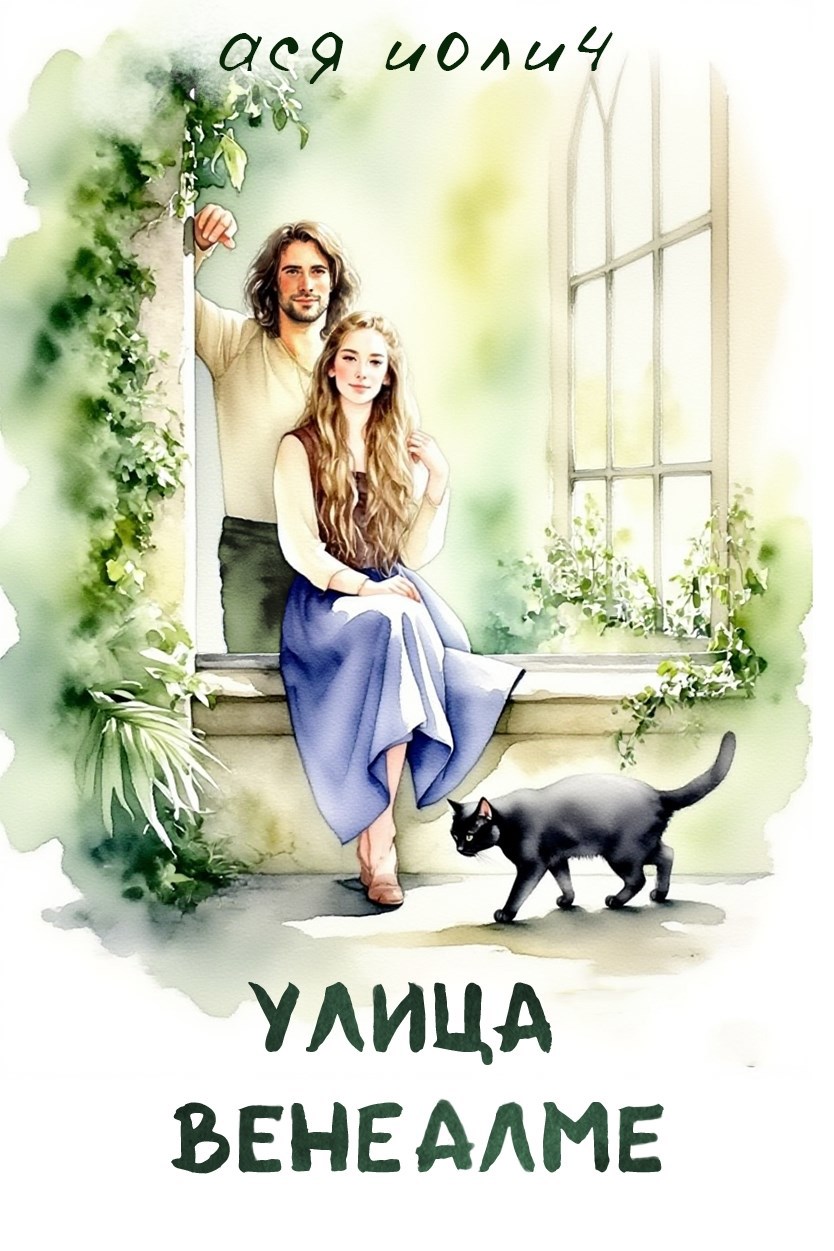 Обложка книги Улица Венеалме