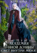 Обложка книги Академия Лунной долины. Свет внутри меня.