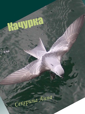 Обложка книги Качурка
