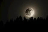Обложка книги Ночь