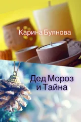 Обложка книги Дед Мороз и Тайна