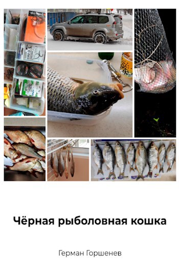 Обложка книги Чёрная рыболовная кошка